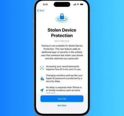 武宣苹果授权维修店分享被盗设备保护功能开启方法 