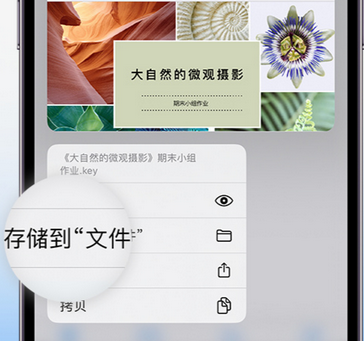 武宣apple维修中心分享iPhone文件应用中存储和找到下载文件