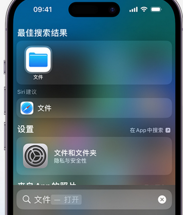 武宣apple维修中心分享iPhone文件应用中存储和找到下载文件