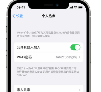 武宣apple服务站点分享iPhone上个人热点丢失了怎么办