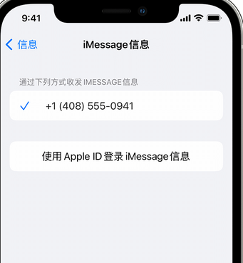 武宣apple维修iPhone上无法正常发送iMessage信息 