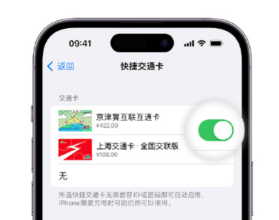 武宣apple维修点分享iPhone上更换Apple Pay快捷交通卡手绘卡面 