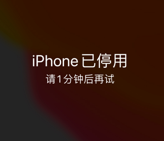 武宣苹果手机维修分享:iPhone 显示“不可用”或“已停用”怎么办？还能保留数据吗？ 