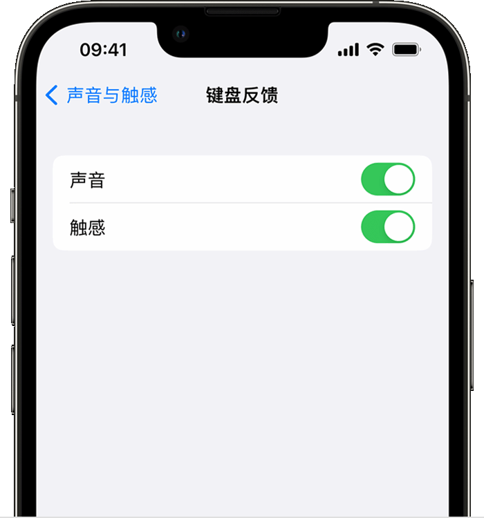 武宣苹果14维修店分享如何在 iPhone 14 机型中使用触感键盘 