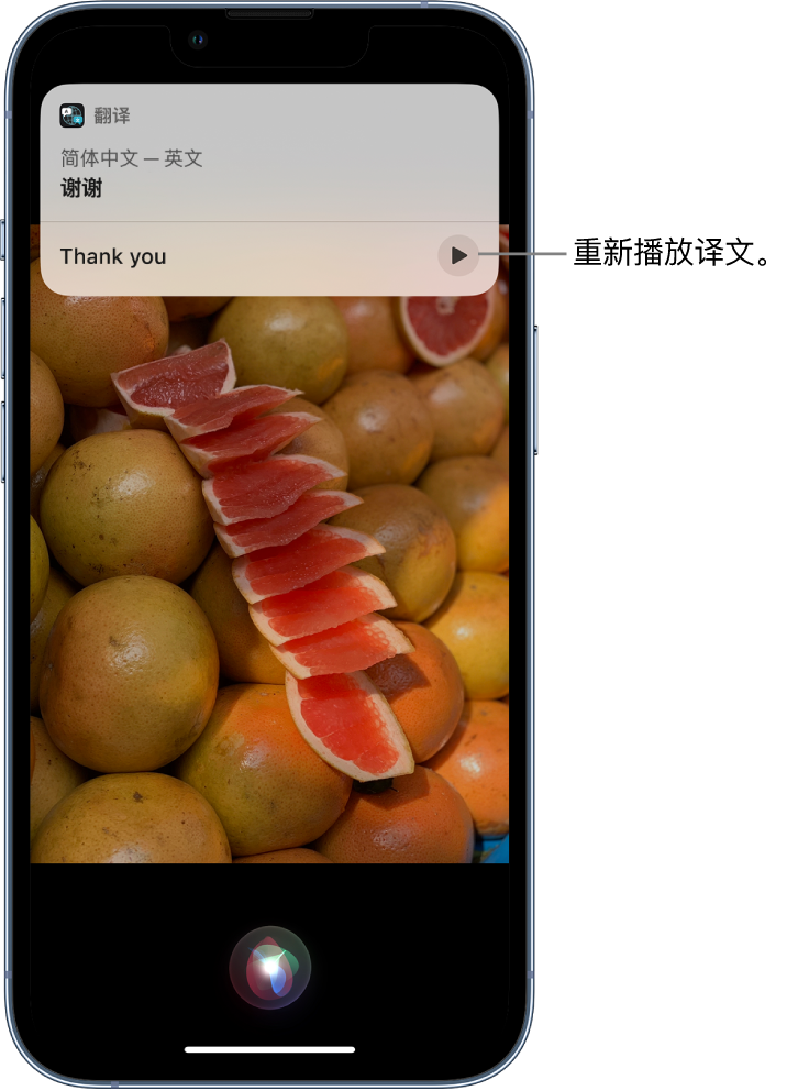 武宣苹果14维修分享 iPhone 14 机型中使用 Siri：了解 Siri 能帮你做什么 