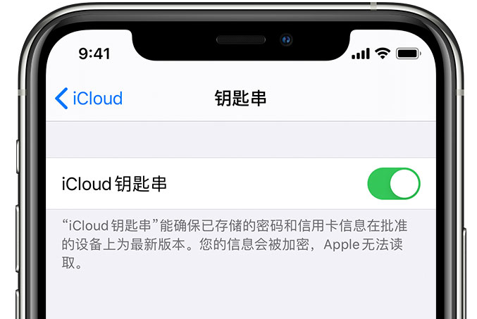 武宣苹果手机维修分享在 iPhone 上开启 iCloud 钥匙串之后会储存哪些信息 