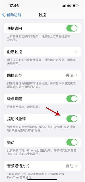 武宣苹果手机维修分享iPhone手机如何设置摇一摇删除文字 